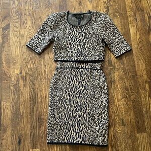 BCBG Maxazria Leopard Skirt & Short Sleeve Crop Sweater Set Size S Top/ XS Skirt